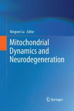 Mitochondrial Dynamics and Neurodegeneration