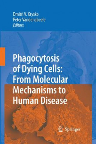 Phagocytosis of Dying Cells