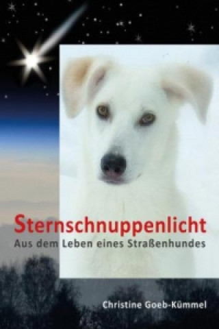 Sternschnuppenlicht