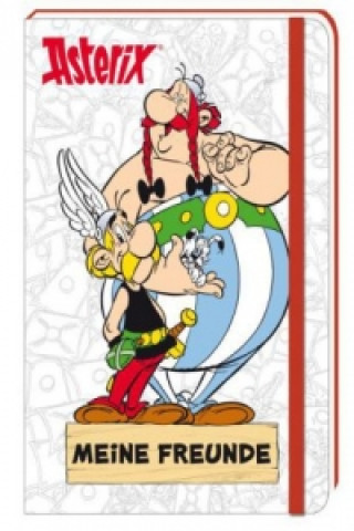 Asterix - Meine Freunde