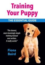 Training Your Puppy