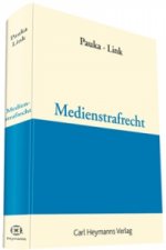 Medienstrafrecht
