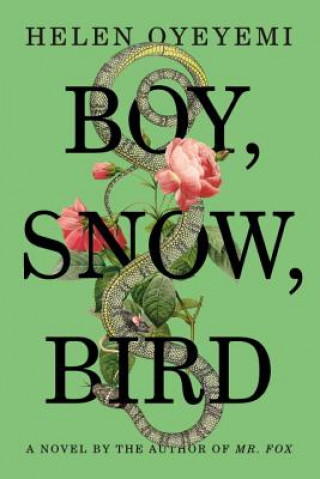 Boy, Snow Bird