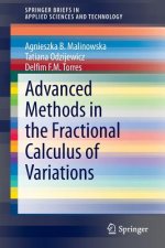 Advanced Methods in the Fractional Calculus of Variations