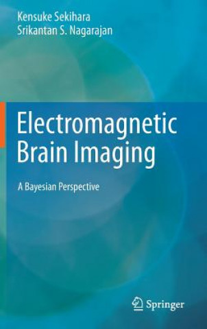 Electromagnetic Brain Imaging