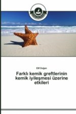 Farklı kemik greftlerinin kemik iyileşmesi uzerine etkileri