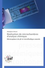 Realisation de Microchambres d'Analyse Chimique