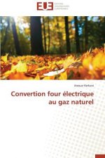 Convertion Four  lectrique Au Gaz Naturel
