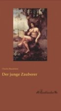 Der junge Zauberer