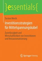 Investitionsstrategien Fur Mittelspannungskabel
