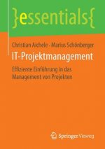 It-Projektmanagement