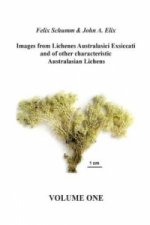 Images from Lichenes Australasici Exsiccati and of other characteristic Australasian Lichens. Vol.1
