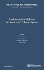 Fundamentals of Gels and Self-Assembled Polymer Systems: Volume 1622