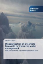 Disaggregation of ensemble forecasts for improved water management