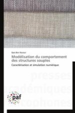 Modelisation Du Comportement Des Structures Souples