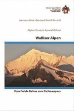 Walliser Alpen