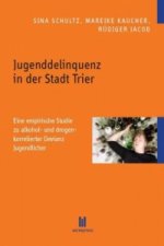 Jugenddelinquenz in der Stadt Trier