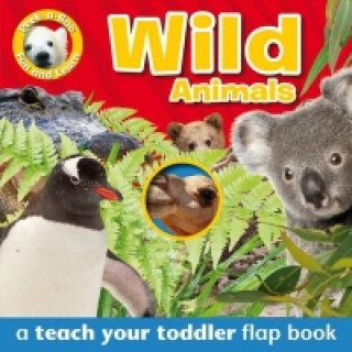 Peek-a-Boo Books: Wild Animals