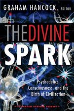 Divine Spark: a Graham Hancock Reader