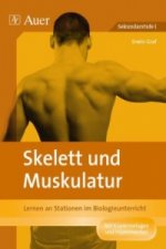 Skelett und Muskulatur