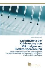 Effizienz der Kultivierung von Mikroalgen zur Biodieselgewinnung