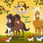 Die Haferhorde - Flausen im Schopf, 2 Audio-CD