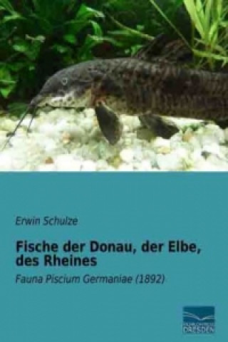 Fische der Donau, der Elbe, des Rheines