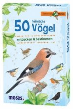 50 heimische Vögel entdecken & bestimmen