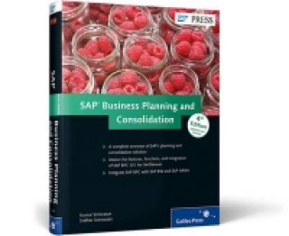 SAP Business Planning and Consolidation