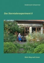 Sterntalerexperiment II