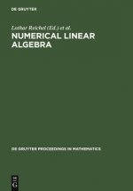 Numerical Linear Algebra