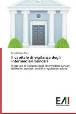 capitale di vigilanza degli intermediari bancari