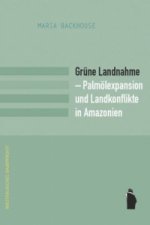 Grüne Landnahme - Palmölexpansion und Landkonflikte in Amazonien