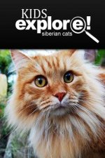 Siberian Cats - Kids Explore