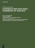 Morphology and Systematics (Elateroidea, Bostrichiformia, Cucujiformia partim). Vol.2