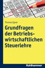 Grundlagen einer entscheidungsorientierten Steuerlehre