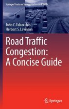 Road Traffic Congestion: A Concise Guide