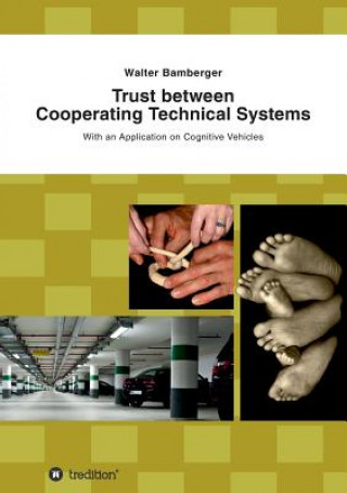 Trust between Cooperating Technical Systems