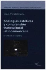 Analogías estéticas y comprensión transcultural latinoamericana