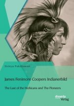 James Fenimore Coopers Indianerbild