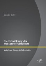 Entwicklung der Wasserstoffwirtschaft