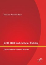 238 StGB Nachstellung/ Stalking