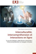 Interculturalit , Intercompr hension Et Interactions En Ligne