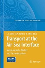 Transport at the Air-Sea Interface