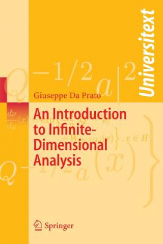 Introduction to Infinite-Dimensional Analysis