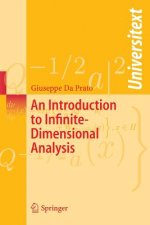 Introduction to Infinite-Dimensional Analysis