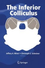 Inferior Colliculus