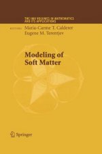 Modeling of Soft Matter