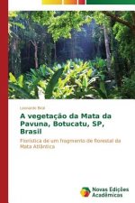 vegetacao da Mata da Pavuna, Botucatu, SP, Brasil