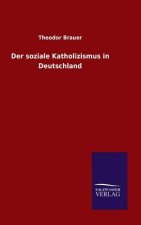 Der soziale Katholizismus in Deutschland